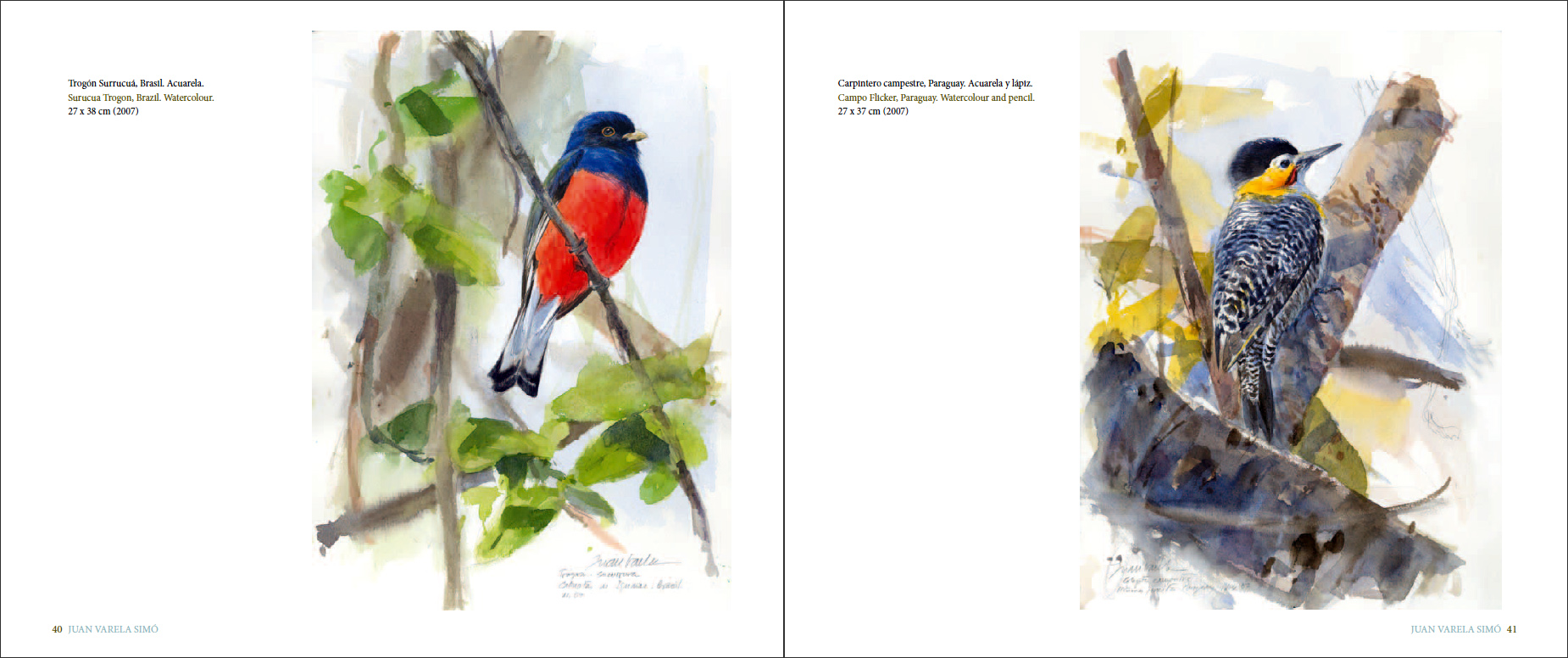 Sample page of La forma del viento / Shaped by the wind La forma del viento / Shaped by the wind sample page